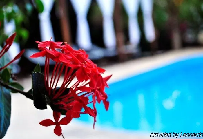 & Gardens 3*